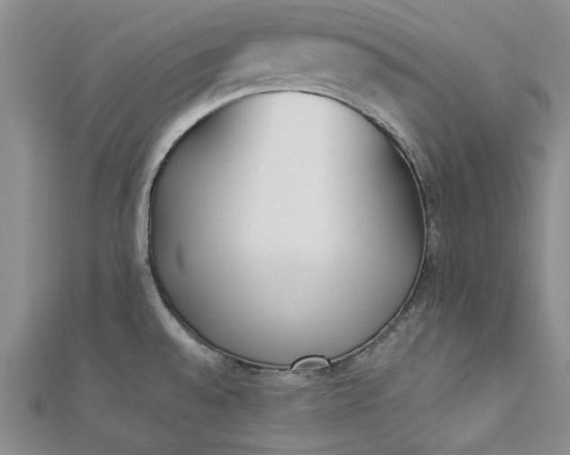 X0000112871528200909041611