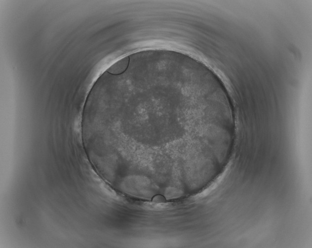 X0000112871529200909041611