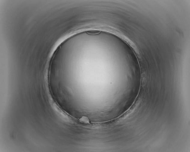 X0000112871530200909041611