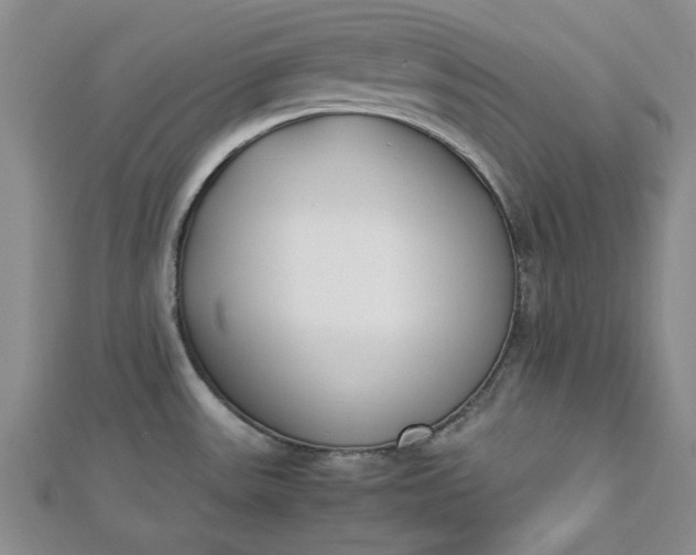 X0000112871531200909041611