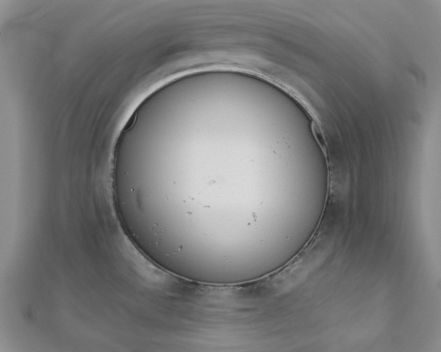 X0000112871532200909041611