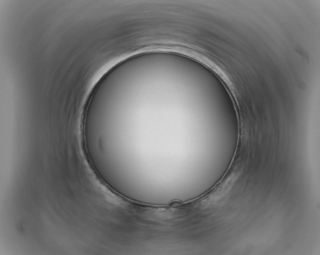 X0000112871533200909041611