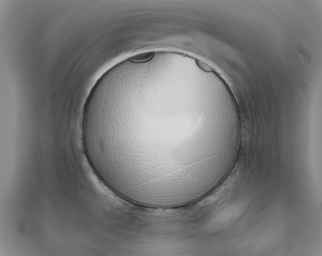 X0000112871534200909041611