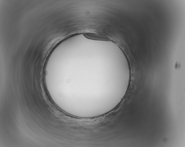 X0000112870001200909111543