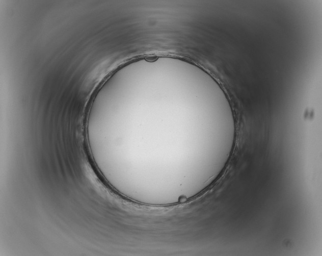 X0000112870002200909111543