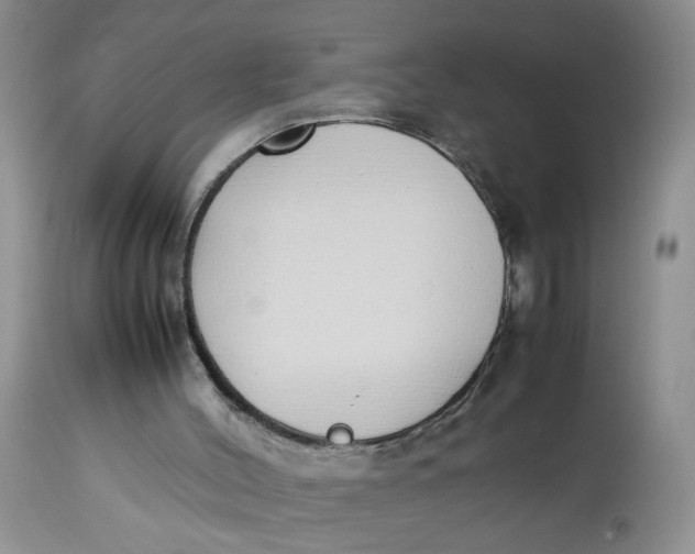 X0000112870004200909111543