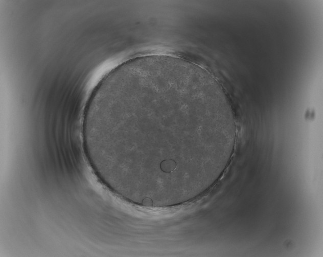 X0000112870006200909111543