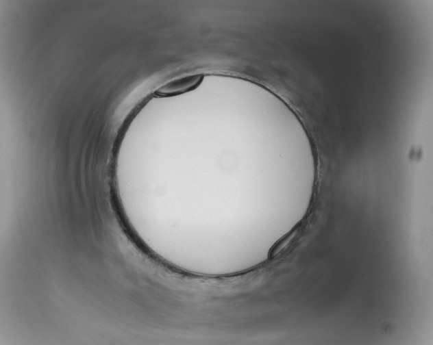 X0000112870007200909111543