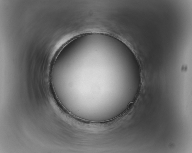 X0000112870008200909111543