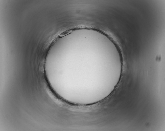 X0000112870009200909111543