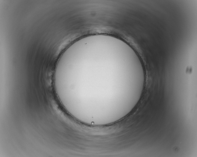 X0000112870010200909111543