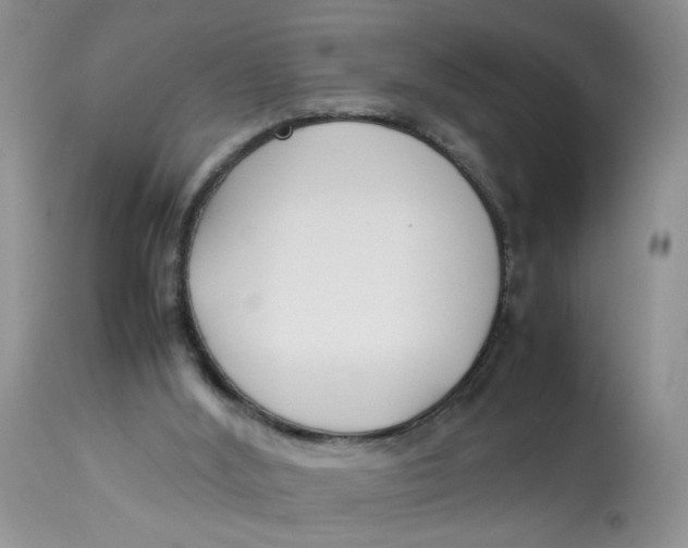 X0000112870012200909111543