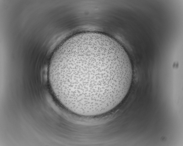 X0000112870014200909111543