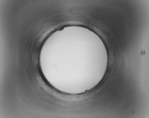 X0000112870015200909111543