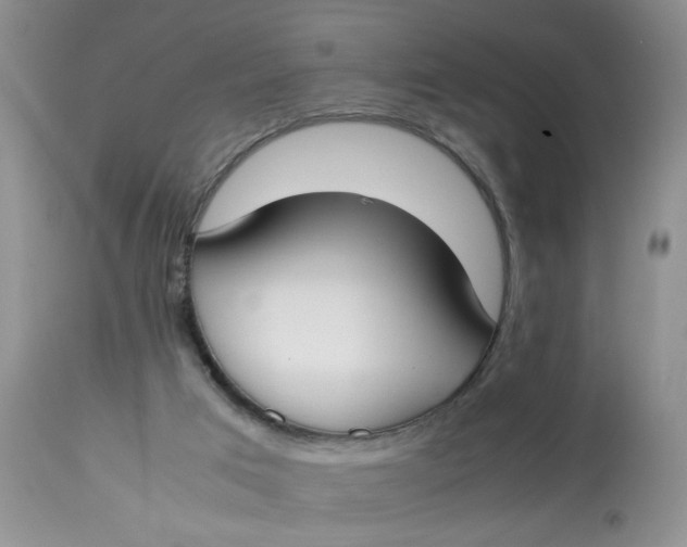 X0000112870017200909111543