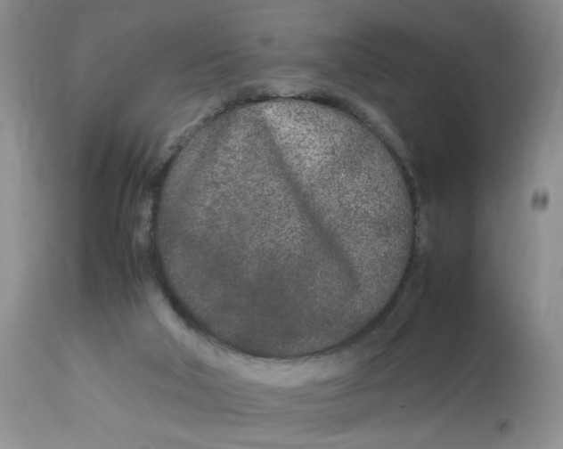 X0000112870018200909111543