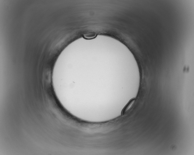 X0000112870021200909111543