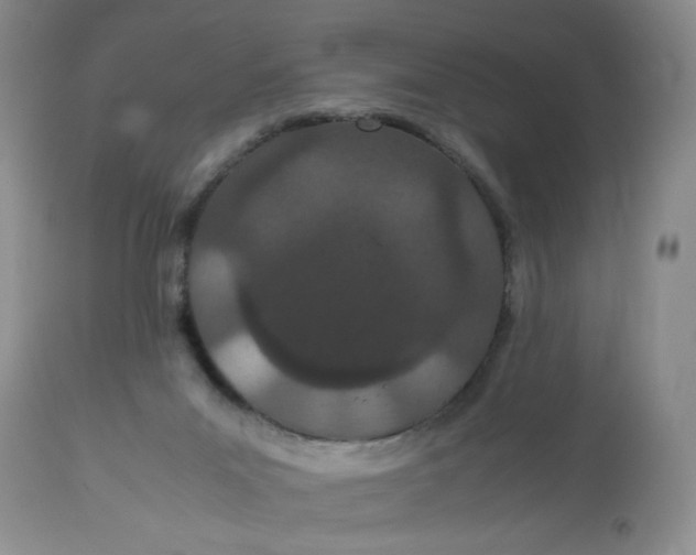 X0000112870023200909111543