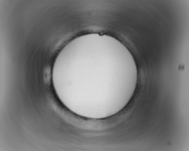 X0000112870024200909111543