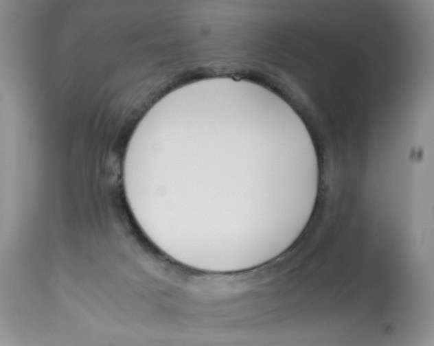 X0000112870025200909111543