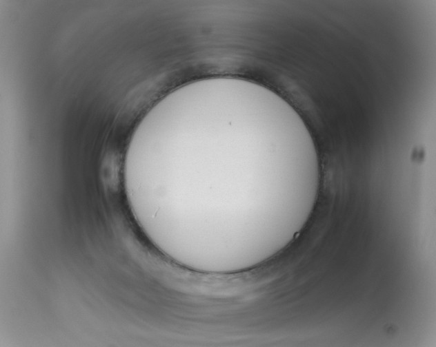 X0000112870026200909111543