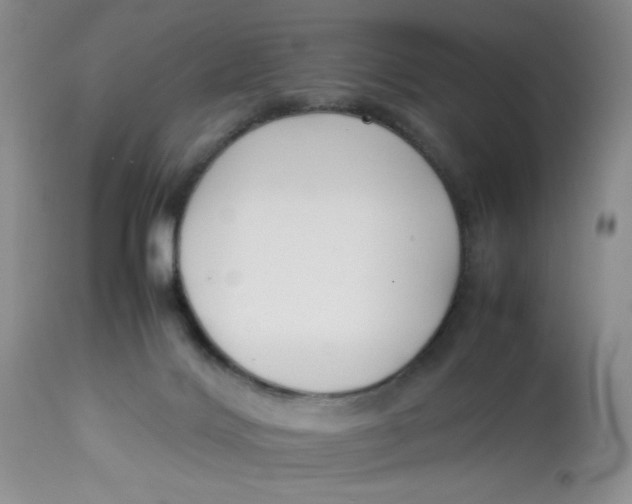 X0000112870028200909111543