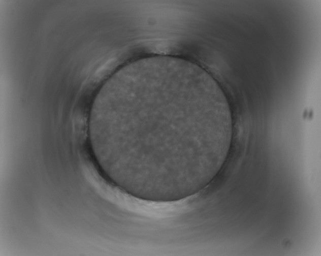 X0000112870031200909111543