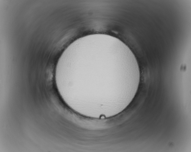 X0000112870032200909111543