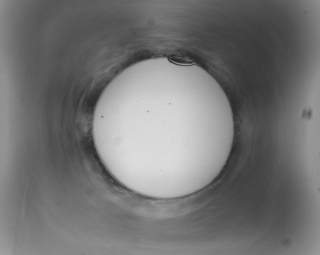 X0000112870033200909111543