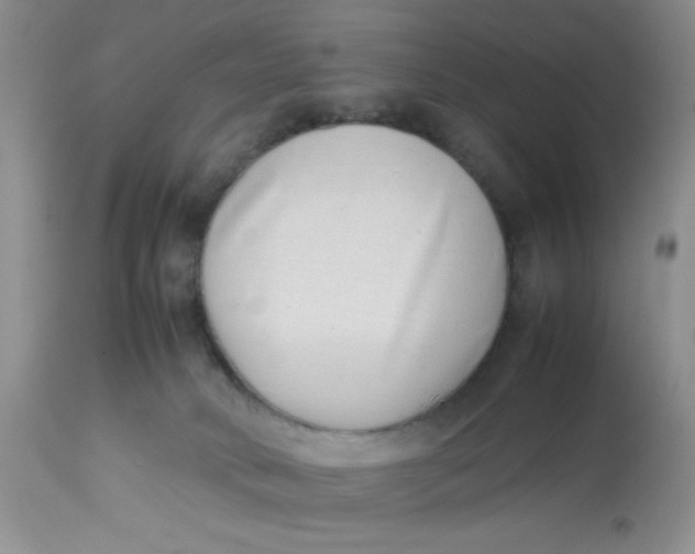 X0000112870034200909111543