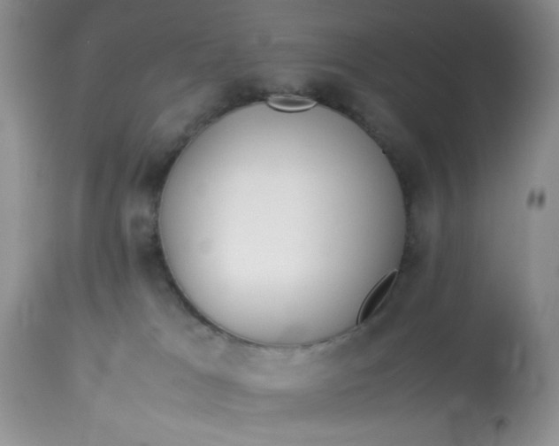 X0000112870037200909111542