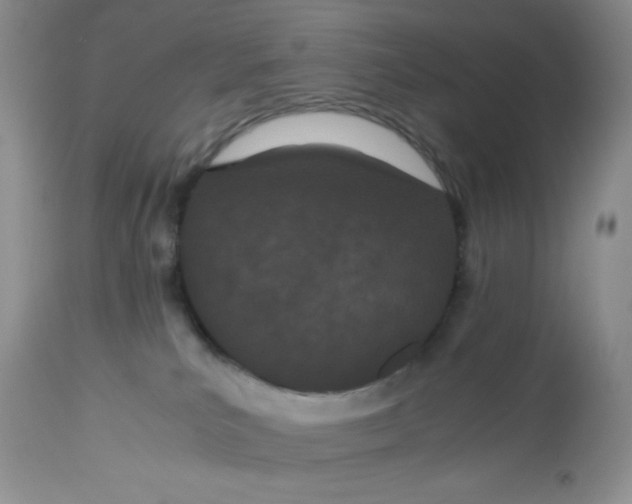 X0000112870039200909111542