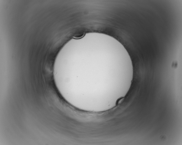 X0000112870040200909111542