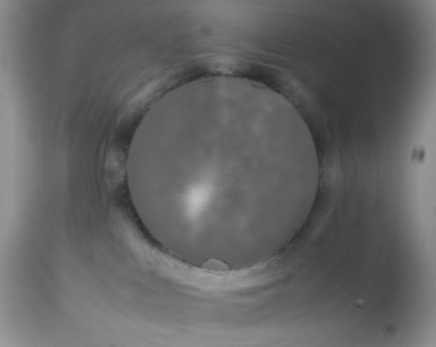 X0000112870043200909111542