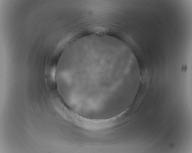 X0000112870047200909111542