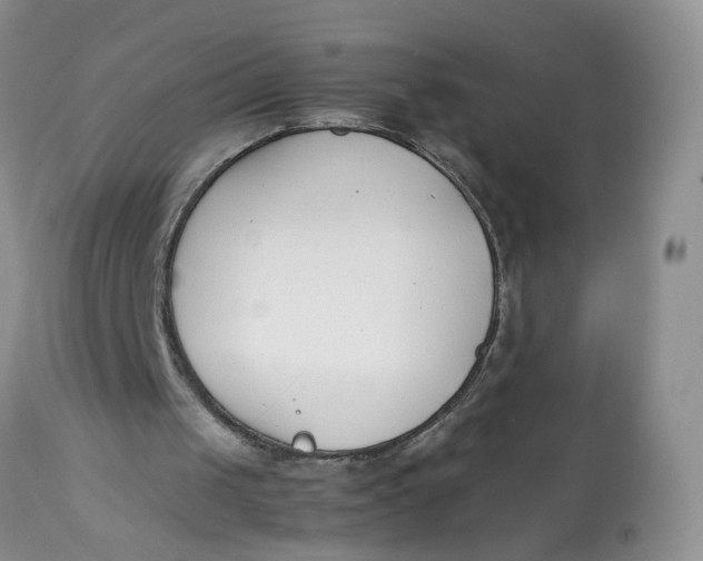 X0000112870049200909111542