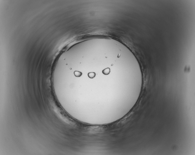 X0000112870050200909111542