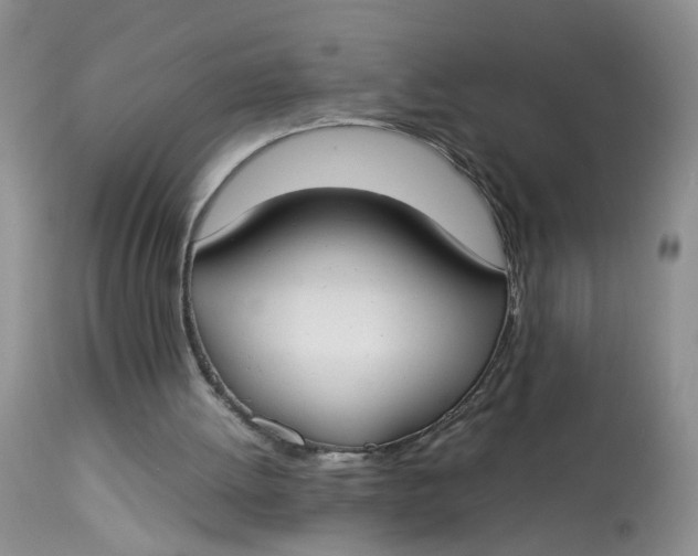 X0000112870052200909111542