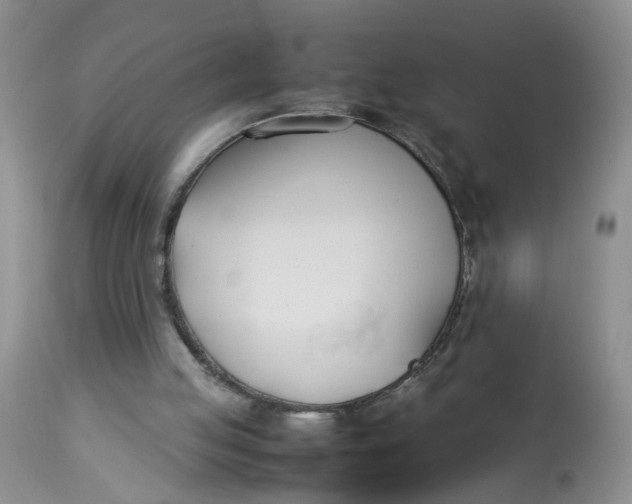 X0000112870053200909111542