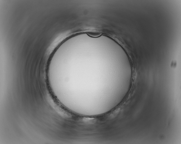 X0000112870055200909111542