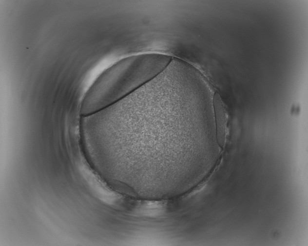 X0000112870056200909111542