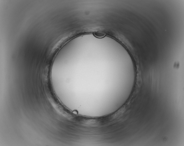 X0000112870058200909111542