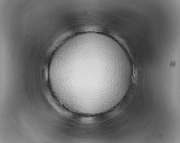 X0000112870061200909111542