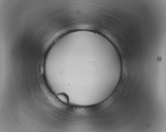 X0000112870062200909111542