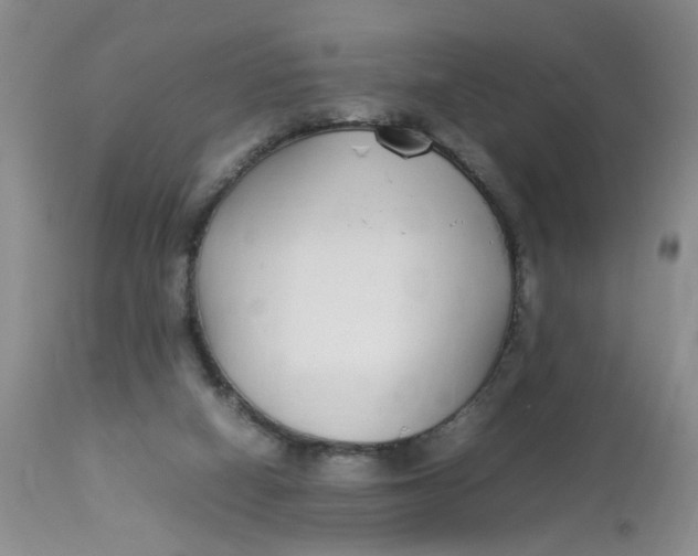 X0000112870066200909111542