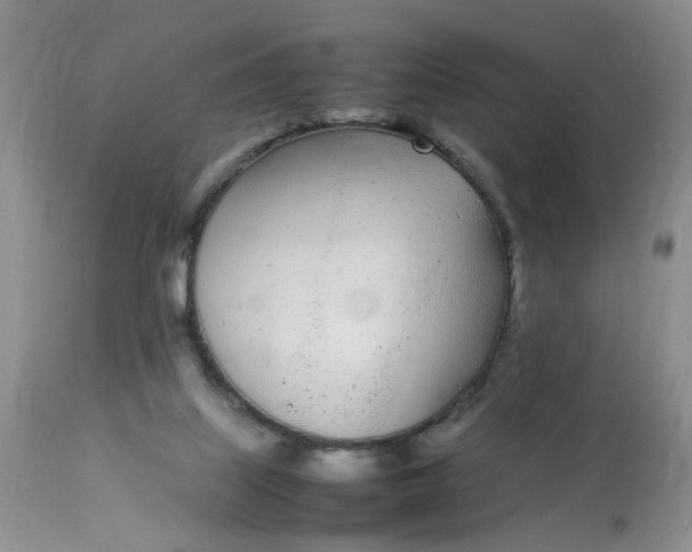 X0000112870067200909111542