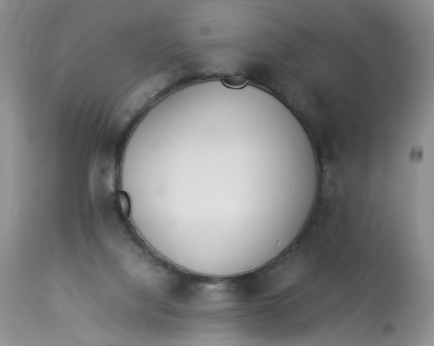 X0000112870068200909111542