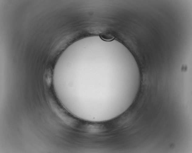 X0000112870069200909111542