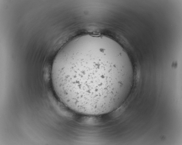 X0000112870074200909111542