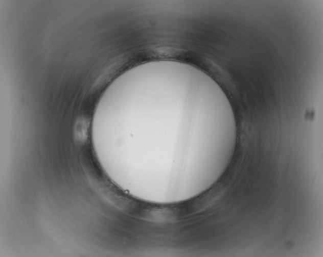 X0000112870075200909111542